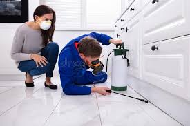 Best Bed Bug Extermination  in Laguna Hills, CA